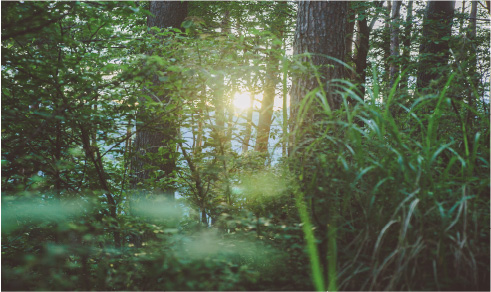 新倉山イメージ