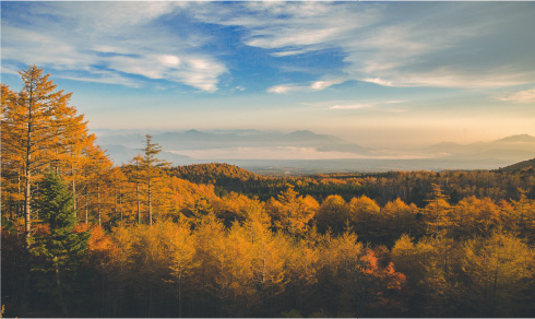 富士山旧登山道イメージ