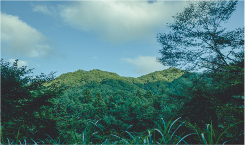 杓子山イメージ